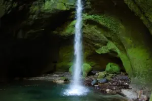 神道の禊とは？穢れを祓い心を整える方法