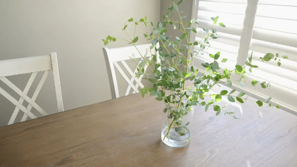 運気を上げるには五感を整えることから｜香り・音・食で人生が変わる開運習慣